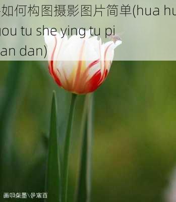 花卉如何构图摄影图片简单(hua hui ru he gou tu she ying tu pian jian dan)